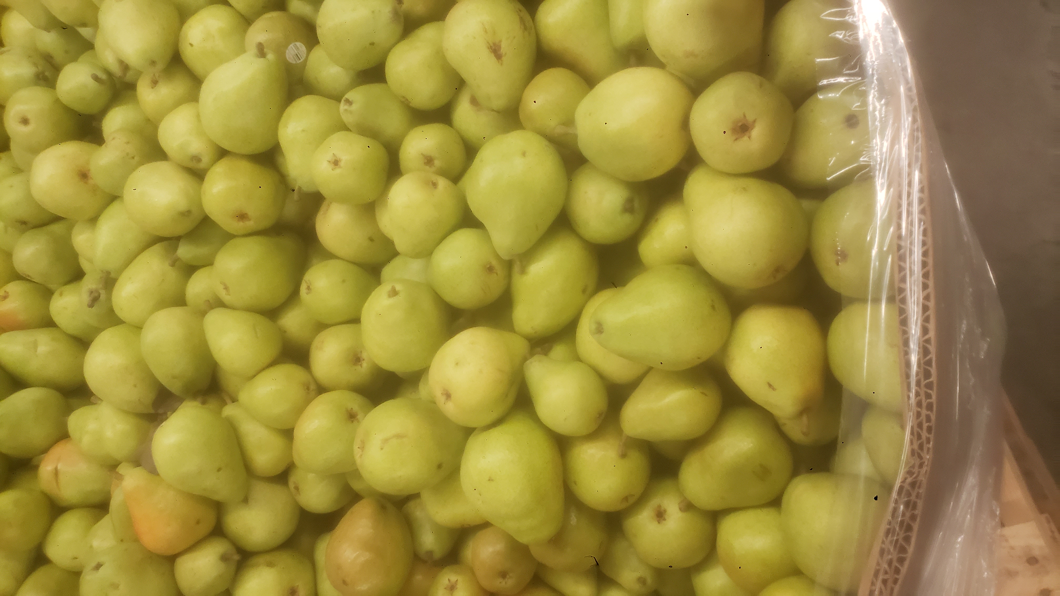 Cardboard container of pears.